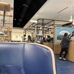 View over my shoulder of the cafe. View over my shoulder of the cafe.