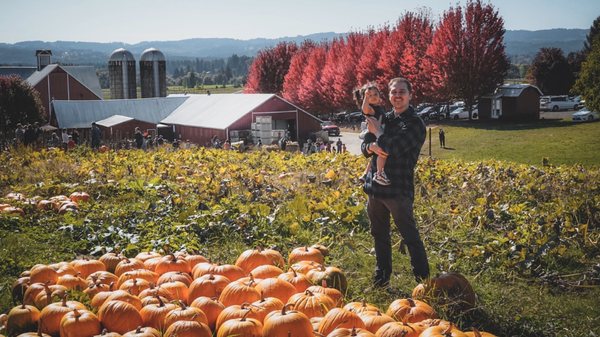 Oregon Heritage Farms by null