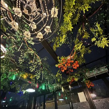 Bold Mongol - Sun room - Mongolian Near Me - Chicago, Illinois