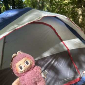 Illahee State Park - Tent Site - Parks Near Me - Bremerton, Washington