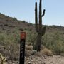 Photo of Apache Wash Trailhead