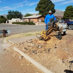 Circle K Tree Service
