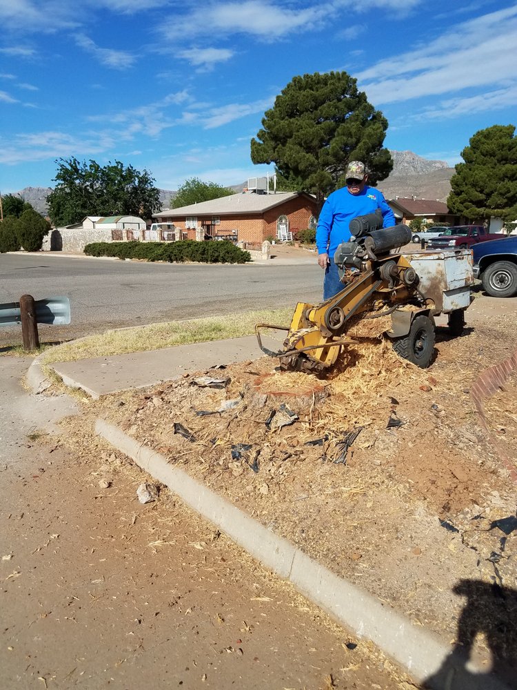 CIRCLE K TREE SERVICE Updated August 2024 10052 Keystone Dr, El Paso, Texas Tree Services