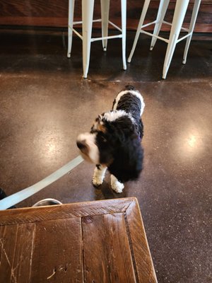 Fieldwork Sacramento by null