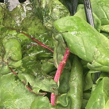 Kroger - Slimy, wilted, and Bacteria ridden chard. - Grocery Near Me - Dallas, Texas Kroger - Slimy, wilted, and Bacteria ridden chard. - Grocery Near Me - Dallas, Texas
