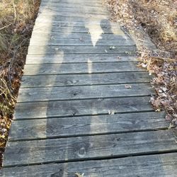 Lord Stirling Park - We really enjoyed Lord Stirling Park. Flat trails and a nice environmental education center to explore.