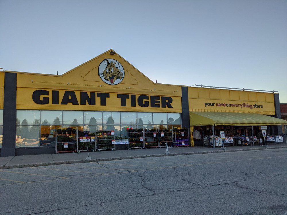 nearest giant tiger store