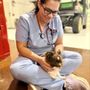 Photo of Stephany Vasquez, DVM - Heal House Call Veterinarian