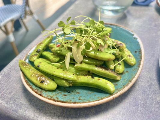 The Mary Lane by null