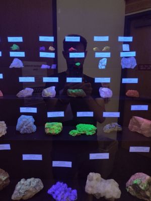 World Museum of Natural History by null