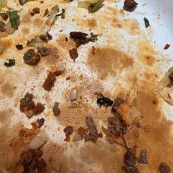 Un insecto en la comida . Como es posible pase eso en una cocina .