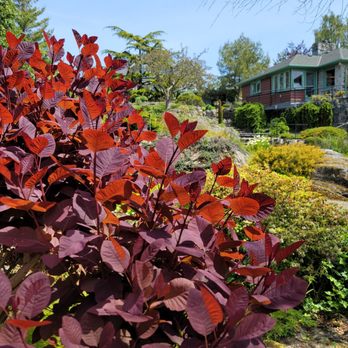 Abkhazi Garden - Botanical Gardens Near Me - Victoria, British Columbia