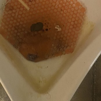 Hungry Buffalo - Dirty urinal never been cleaned for months and smells great! - New American Near Me - Logan, Ohio