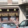 Photo of Sugartree