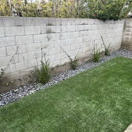 Placed wire to help train the star jasmine to follow a diamond patter which will look great!