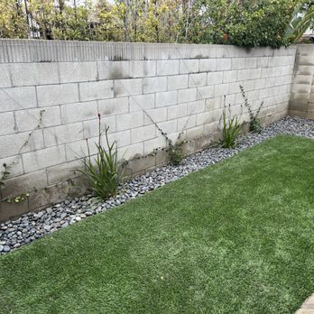 Killelea Landscape - Placed wire to help train the star jasmine to follow a diamond patter which will look great! - Tree Services Near Me - Costa Mesa, California