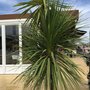Photo of Paseo Del Mar
