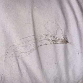 Glo Extensions - Hair Extensions Near Me - Lone Tree, Colorado Glo Extensions - Hair Extensions Near Me - Lone Tree, Colorado