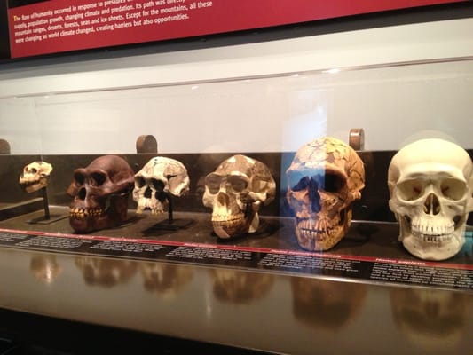 Johnson Geo Centre by null