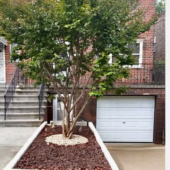 Ageless Landscape and Lawn Care - Ageless landscaping renewed the front of our house by making our Crepe Myrtle come to life ! - Landscaping Near Me Ageless Landscape and Lawn Care - Ageless landscaping renewed the front of our house by making our Crepe Myrtle come to life ! - Landscaping Near Me