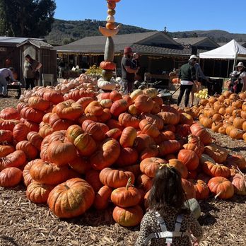 Earthbound Farm Stand - Pumpkins - Organic Stores Near Me - Carmel, California Earthbound Farm Stand - Pumpkins - Organic Stores Near Me - Carmel, California