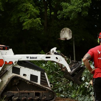 The Tree Company - Tree Services Near Me - Springfield, Tennessee The Tree Company - Tree Services Near Me - Springfield, Tennessee