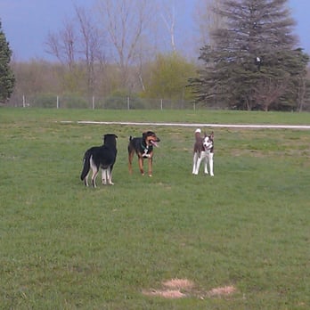 Ames Dog Park - Dog Parks Near Me - Ames, Iowa