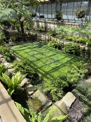 Rockefeller Park & Greenhouse by null