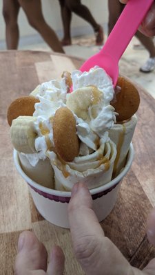IScream Ice Cream Rolls by null