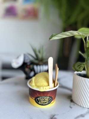 Dang Good Ice Cream by null