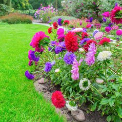 K-Diaz Landscaping