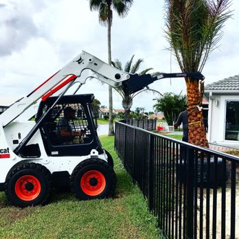RCH Landscaping - a bobcat in the yard - Tree Services Near Me RCH Landscaping - a bobcat in the yard - Tree Services Near Me