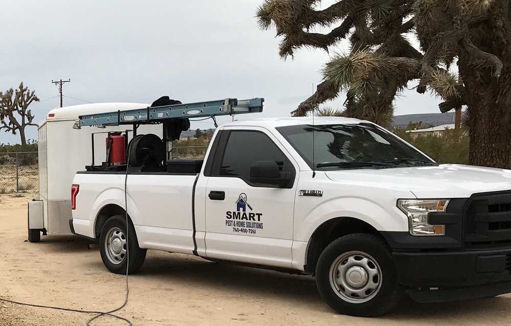 Smart Pest Control - mold inspector in Yucca Valley, CA