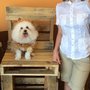 Photo of Mobile Doggie Den Grooming