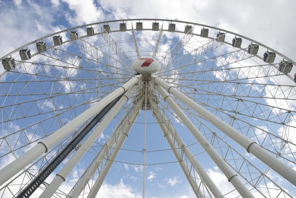 The Wheel of Brisbane by null