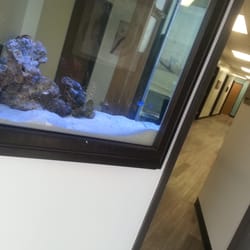 My La Mirada Dentist