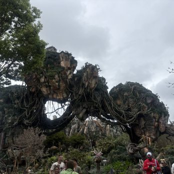 Walt Disney World® Resort - Amusement Parks Near Me - Orlando, Florida