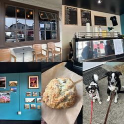 Bay View Coffee Company