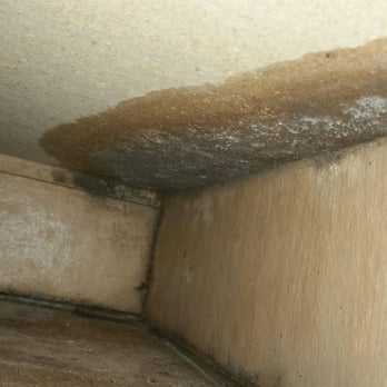 BluWater Apartments - Mold under our cabinets - Apartments Near Me - Jacksonville Beach, Florida BluWater Apartments - Mold under our cabinets - Apartments Near Me - Jacksonville Beach, Florida