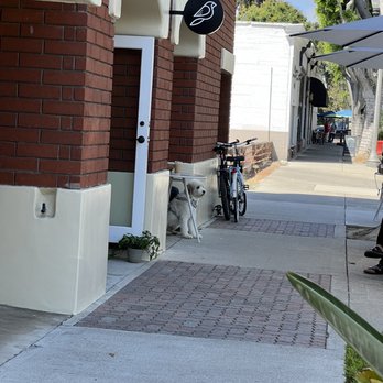 White Sparrow Coffee - Coffee Roasteries Near Me - Tustin, California