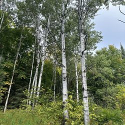 King Lake State Forest Campground
