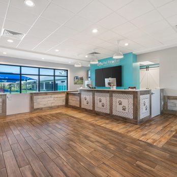 Pet Paradise Viera - Pet Boarding Near Me - Rockledge, Florida