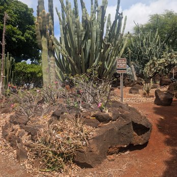 KCC Farmers' Market - Farmers Market Near Me - Honolulu, Hawaii