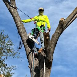 Gomez Landscaping