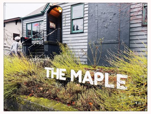 The Maple by null
