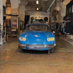 Darwin - Welcome to our shop