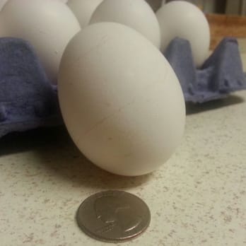Billy's Egg Farm - That's a jumbo egg! - Specialty Food Near Me - Chino, California Billy's Egg Farm - That's a jumbo egg! - Specialty Food Near Me - Chino, California