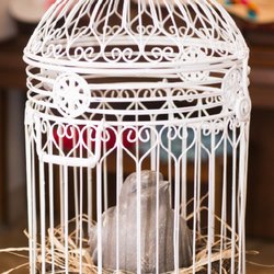 Found Antiques - Large birdcage used for photo booth!