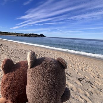 Monastery Beach - Bears at the beach with me - Beaches Near Me - Carmel, California Monastery Beach - Bears at the beach with me - Beaches Near Me - Carmel, California