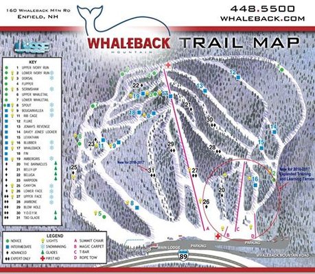 Whaleback Mountain by null